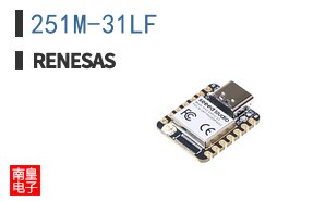 251M-31LF