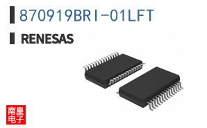 870919BRI-01LFT