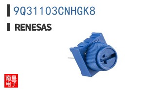 9Q31103CNHGK8