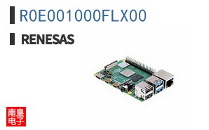 R0E001000FLX00