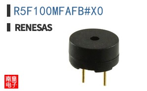 R5F100MFAFB#X0