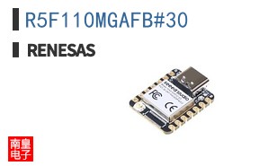 R5F110MGAFB#30