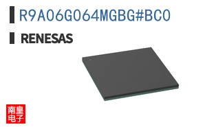 R9A06G064MGBG#BC0
