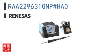 RAA229631GNP#HA0
