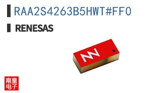 RAA2S4263B5HWT#FF0